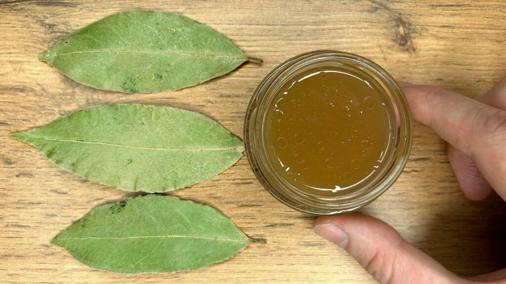 Bay Leaves Remove All Wrinkles from Your Face! Millions of Times